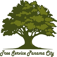 Full Tree Service Panama City Fulltreeservice Panamacity