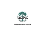  Chapel Tree  Services